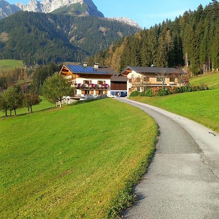 Frische Bergluft Und Laendlicher Charme - Ihr Aktiver Urlaub Am Muehlauhof Mühlbach am Hochkönig Eksteriør billede