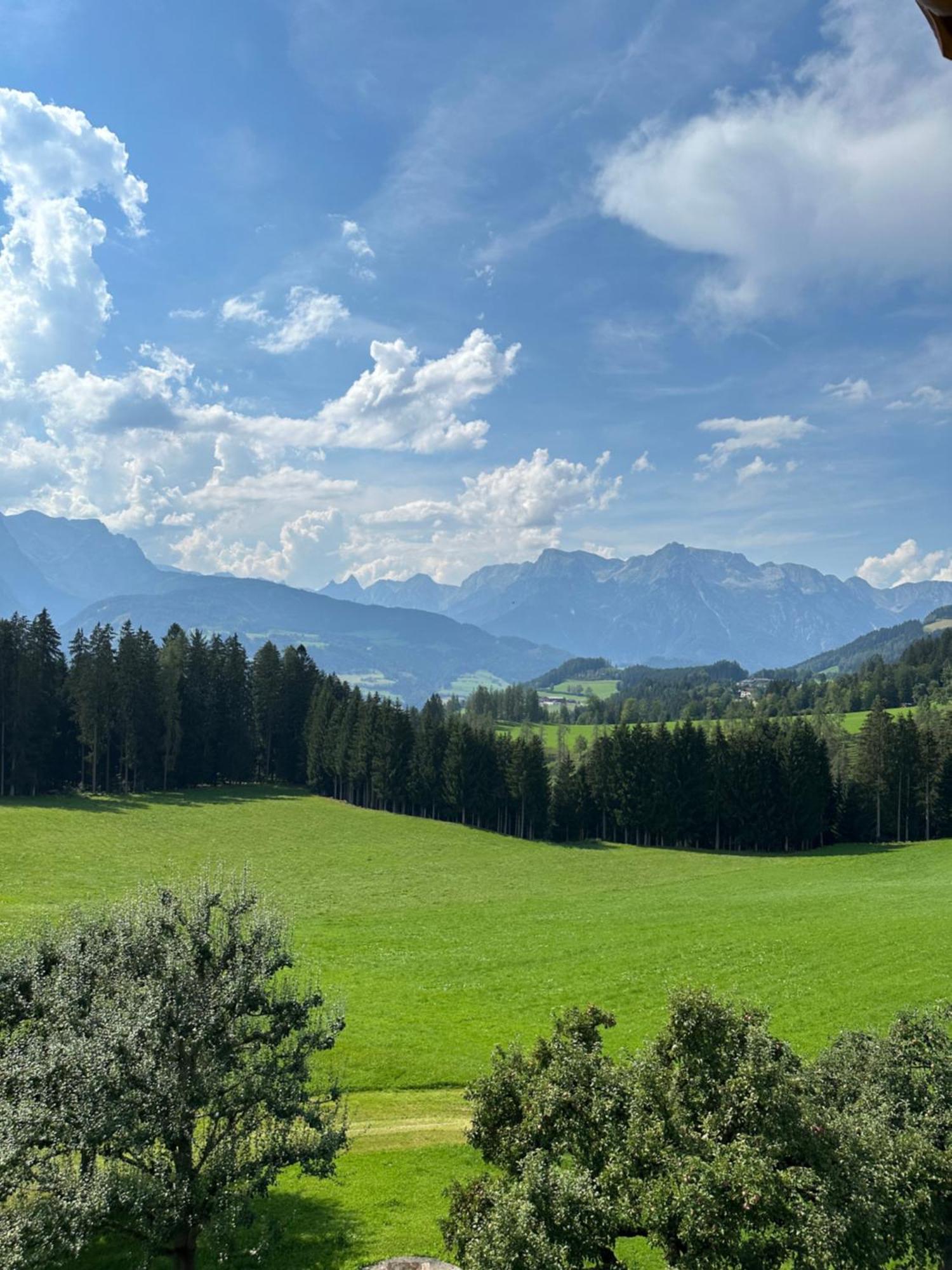 Frische Bergluft Und Laendlicher Charme - Ihr Aktiver Urlaub Am Muehlauhof Mühlbach am Hochkönig Eksteriør billede