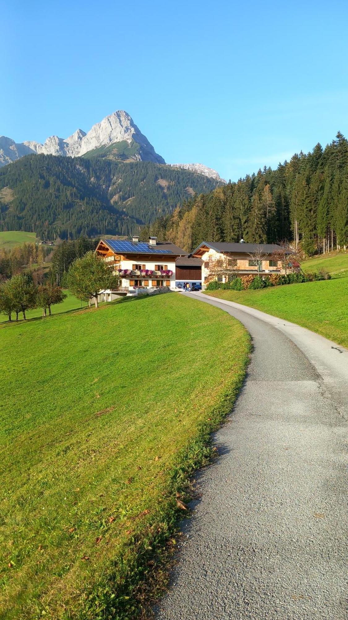 Frische Bergluft Und Laendlicher Charme - Ihr Aktiver Urlaub Am Muehlauhof Mühlbach am Hochkönig Eksteriør billede
